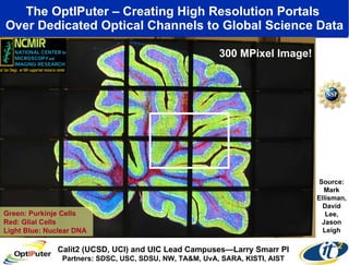 The OptIPuter – Creating High Resolution Portals  Over Dedicated Optical Channels to Global Science Data Green: Purkinje Cells Red: Glial Cells Light Blue: Nuclear DNA Source: Mark Ellisman, David Lee, Jason Leigh 300 MPixel Image! Calit2 (UCSD, UCI) and UIC Lead Campuses—Larry Smarr PI Partners: SDSC, USC, SDSU, NW, TA&M, UvA, SARA, KISTI, AIST 
