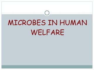 MICROBES IN HUMAN WELFARE 