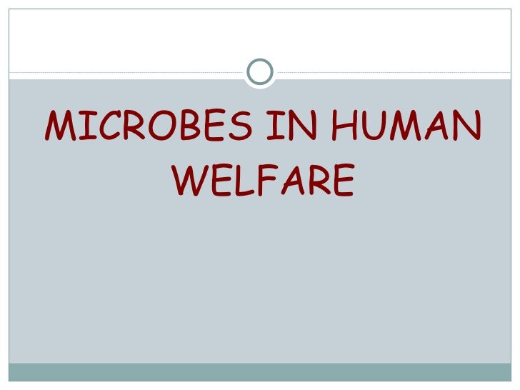 Microbes in human welfare