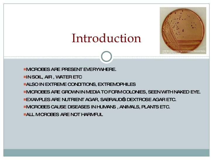 role of microorganism in human welfare The role of human health and animal health in antimicrobial resistance publication summary the global implications of antimicrobial resistance (amr) require immediate action. role of microorganism in human welfare The role of human health and animal health in antimicrobial resistance publication summary the global implications of antimicrobial resistance (amr) require immediate action.