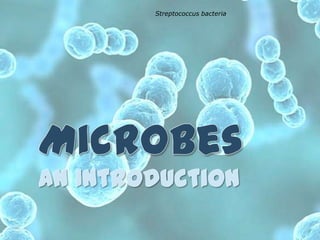 Microbes<br />An Introduction<br />Streptococcus bacteria<br />