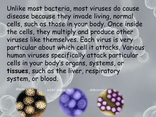 Unlike most bacteria, most viruses do cause disease because they invade living, normal cells, such as those in your body. Once inside the cells, they multiply and produce other viruses like themselves. Each virus is very particular about which cell it attacks. Various human viruses specifically attack particular cells in your body’s organs, systems, or tissues, such as the liver, respiratory system, or blood.WartsAdenovirusH1N1 Swine Flu