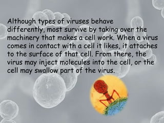 Although types of viruses behave differently, most survive by taking over the machinery that makes a cell work. When a virus comes in contact with a cell it likes, it attaches to the surface of that cell. From there, the virus may inject molecules into the cell, or the cell may swallow part of the virus. 