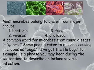3421Most microbes belong to one of four major groups:      1. bacteria  3. fungi      2. viruses					4. protozoa. A common word for microbes that cause disease is “germs.” Some people refer to disease-causing microbes as “bugs.” “I’ve got the flu bug,” for example, is a phrase you may hear during the wintertime to describe an influenza virus infection.