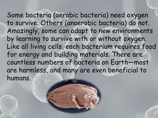 Some bacteria (aerobic bacteria) need oxygen to survive. Others (anaerobic bacteria) do not. Amazingly, some can adapt to new environments by learning to survive with or without oxygen. Like all living cells, each bacterium requires food for energy and building materials. There are countless numbers of bacteria on Earth—most are harmless, and many are even beneficial to humans. 