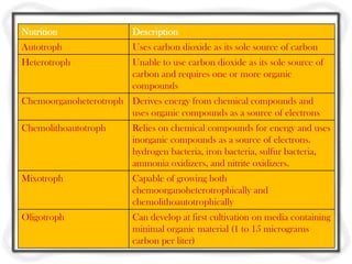 Microbes | PPTX