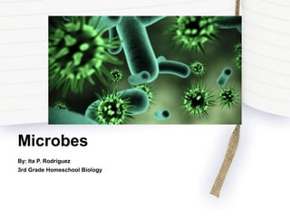Microbes 
By: Ita P. Rodríguez 
3rd Grade Homeschool Biology 
 