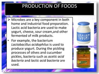 PRODUCTION OF FOODS
 Microbes are a key component in both
home and industrial food preparation.
Lactic acid bacteria are used to make
yogurt, cheese, sour cream,and other
fermented of milk products.
• For example, the bacterium
Lactobacillus acidophilus is used to
produce yogurt. During the pickling
processes of olives and cucumber
pickles, bacteria such as acetic acid
bacteria and lactic acid bacteria are
used.
 