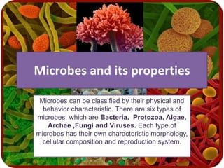 Microbes and its properties
Microbes can be classified by their physical and
behavior characteristic. There are six types of
microbes, which are Bacteria, Protozoa, Algae,
Archae ,Fungi and Viruses. Each type of
microbes has their own characteristic morphology,
cellular composition and reproduction system.
 