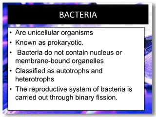 BACTERIA
• Are unicellular organisms
• Known as prokaryotic.
• Bacteria do not contain nucleus or
membrane-bound organelles
• Classified as autotrophs and
heterotrophs
• The reproductive system of bacteria is
carried out through binary fission.
 