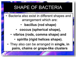 SHAPE OF BACTERIA
• Bacteria also exist in different shapes and
arrangement which are:
• bacillus (rod shape)
• coccus (spherical shape),
• vibrios (rods, comma shape) and
• spirilla (rigid helices shape).
• They also can be arranged in single, in
pairs, chains or grape-like clusters
 