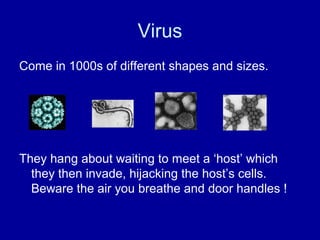 Virus
Come in 1000s of different shapes and sizes.
They hang about waiting to meet a ‘host’ which
they then invade, hijacking the host’s cells.
Beware the air you breathe and door handles !
 