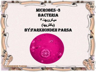 Microbes 3