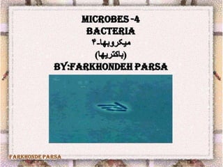 Microbes 4