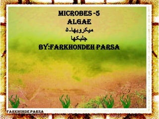 Microbes 5
