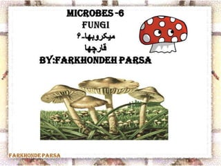 Microbes 6