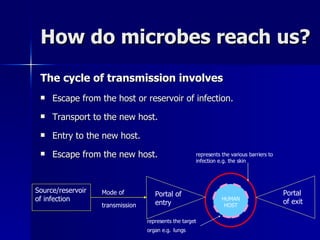How do microbes reach us? The cycle of transmission involves Escape from the host or reservoir of infection. Transport to the new host. Entry to the new host. Escape from the new host. Source /reservoir  of infection Mode of  transmission HUMAN HOST represents the various  barriers to infection  e.g. the skin represents the  target organ e . g .   lungs Portal of  entry Portal of  exit 