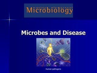 Microbes and Disease Human pathogens 