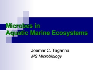 Microbes in Aquatic Marine Ecosystems Joemar C. Taganna MS Microbiology 