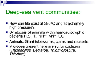 Deep-sea vent communities: How can life exist at 380  o C and at extremely high pressure? Symbiosis of animals with chemoautotrophic bacteria H 2 S, H 2 , NH 4+ , Mn 2+ , CO Animals: Giant tubeworms, clams and mussels Microbes present here are sulfur oxidizers ( Thiobacillus ,  Begiatoa, Thiomicrospira, Thiothrix ) 