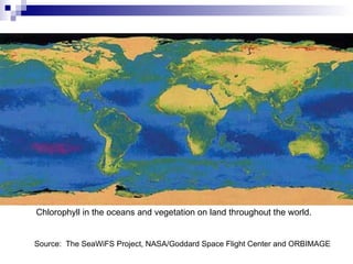 Chlorophyll in the oceans and vegetation on land throughout the world.  Source:  The SeaWiFS Project, NASA/Goddard Space Flight Center and ORBIMAGE 