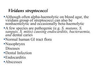 Viridans streptococci
Although often alpha-haemolytic on blood agar, the
viridans group of streptococci can also be
nonhaemolytic and occasionally beta-haemolytic
A few species are pathogenic (e.g. S. mutans, S.
sanguis, S. mitis) causing endocarditis, bacteraemia,
and dental caries
Normal human GI tract flora
Nasophrynx
Diseases
Dental Infection
Endocarditis
Abscesses
 