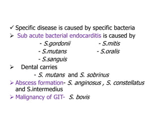  Specific disease is caused by specific bacteria
 Sub acute bacterial endocarditis is caused by
- S.gordonii - S.mitis
- S.mutans - S.oralis
- S.sanguis
 Dental carries
- S. mutans and S. sobrinus
 Abscess formation- S. anginosus , S. constellatus
and S.intermedius
 Malignancy of GIT- S. bovis
 