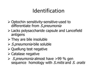 Identification
 Optochin sensitivity-sensitive-used to
differentiate from S.pneumonia
 Lacks polysaccharide capsule and Lancefield
antigens
 They are bile insoluble
 S.pneumonia-bile soluble
 Quellung test negative
 Catalase negative
 S.pneumonia almost have >99 % gen
sequence homology with S.mitis and S. oralis
 