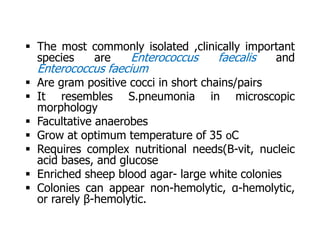  The most commonly isolated ,clinically important
species are Enterococcus faecalis and
Enterococcus faecium
 Are gram positive cocci in short chains/pairs
 It resembles S.pneumonia in microscopic
morphology
 Facultative anaerobes
 Grow at optimum temperature of 35 oC
 Requires complex nutritional needs(B-vit, nucleic
acid bases, and glucose
 Enriched sheep blood agar- large white colonies
 Colonies can appear non-hemolytic, α-hemolytic,
or rarely β-hemolytic.
 