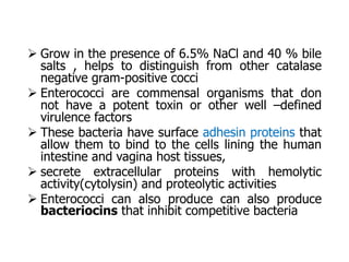  Grow in the presence of 6.5% NaCl and 40 % bile
salts , helps to distinguish from other catalase
negative gram-positive cocci
 Enterococci are commensal organisms that don
not have a potent toxin or other well –defined
virulence factors
 These bacteria have surface adhesin proteins that
allow them to bind to the cells lining the human
intestine and vagina host tissues,
 secrete extracellular proteins with hemolytic
activity(cytolysin) and proteolytic activities
 Enterococci can also produce can also produce
bacteriocins that inhibit competitive bacteria
 