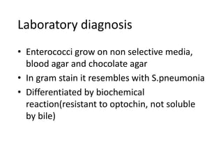 Laboratory diagnosis
• Enterococci grow on non selective media,
blood agar and chocolate agar
• In gram stain it resembles with S.pneumonia
• Differentiated by biochemical
reaction(resistant to optochin, not soluble
by bile)
 