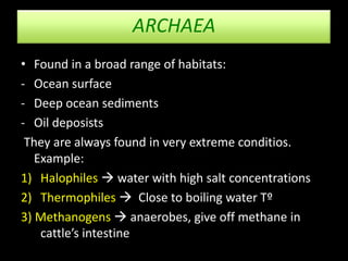 Option F. Microbes and biotechnology | PPTX