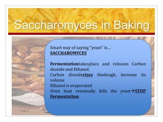Saccharomyces in BakingSmart way of saying “yeast” is…SACCHAROMYCESFermentationtakesplace and releases Carbon dioxide and Ethanol. Carbon dioxiderises thedough, increase its volume Ethanol is evaporated Oven heat eventually kills the yeastSTOP Fermentation. 