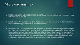 Micro-organisms:-
 MICROORGANISMS USED IN BIOTECHNOLOGY Some of the organisms more commonly used
in biotechnology include
 Pseudomonas. A group of soil bacteria that contain some extremely diverse chemical abilities,
which biotechnology has harnessed in bioremediation..
 Escherichia coli. This very versatile Gram-negative ,bacterium is used in many biotechnological
processes. It is by far the most common host cell for recombinant DNA work. It is also used in
fermentations to make many amino acids and other products since it grows on many very
cheap fermentation substrates, grows fast, and can be manipulated genetically to accumulate
many different chemicals. It is also very chemically versatile and quite non-pathogenic (with
the exception of a few strains which, obviously, are not used for biotechnology).
 