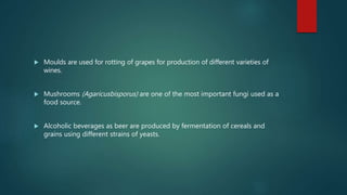  Moulds are used for rotting of grapes for production of different varieties of
wines.
 Mushrooms (Agaricusbisporus) are one of the most important fungi used as a
food source.
 Alcoholic beverages as beer are produced by fermentation of cereals and
grains using different strains of yeasts.
 