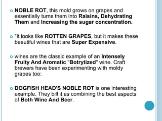  NOBLE ROT, this mold grows on grapes and
essentially turns them into Raisins, Dehydrating
Them and Increasing the sugar concentration.
 "It looks like ROTTEN GRAPES, but it makes these
beautiful wines that are Super Expensive.
 wines are the classic example of an Intensely
Fruity And Aromatic "Botrytized" wine. Craft
brewers have been experimenting with moldy
grapes too:
 DOGFISH HEAD'S NOBLE ROT is one interesting
example. They bill it as combining the best aspects
of Both Wine And Beer.
 