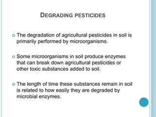 DEGRADING PESTICIDES
 The degradation of agricultural pesticides in soil is
primarily performed by microorganisms.
 Some microorganisms in soil produce enzymes
that can break down agricultural pesticides or
other toxic substances added to soil.
 The length of time these substances remain in soil
is related to how easily they are degraded by
microbial enzymes.
 