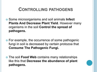 CONTROLLING PATHOGENS
 Some microorganisms and soil animals Infect
Plants And Decrease Plant Yield. However many
organisms in the soil Control the spread of
pathogens.
 For example, the occurrence of some pathogenic
fungi in soil is decreased by certain protozoa that
Consume The Pathogenic Fungi.
 The soil Food Web contains many relationships
like this that Decrease the abundance of plant
pathogens.
 