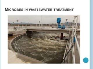 MICROBES IN WASTEWATER TREATMENT
 