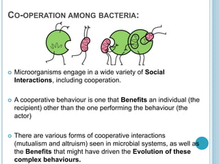 CO-OPERATION AMONG BACTERIA:
 Microorganisms engage in a wide variety of Social
Interactions, including cooperation.
 A cooperative behaviour is one that Benefits an individual (the
recipient) other than the one performing the behaviour (the
actor)
 There are various forms of cooperative interactions
(mutualism and altruism) seen in microbial systems, as well as
the Benefits that might have driven the Evolution of these
complex behaviours.
 