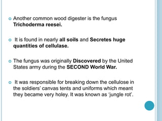  Another common wood digester is the fungus
Trichoderma reesei.
 It is found in nearly all soils and Secretes huge
quantities of cellulase.
 The fungus was originally Discovered by the United
States army during the SECOND World War.
 It was responsible for breaking down the cellulose in
the soldiers’ canvas tents and uniforms which meant
they became very holey. It was known as ‘jungle rot’.
 