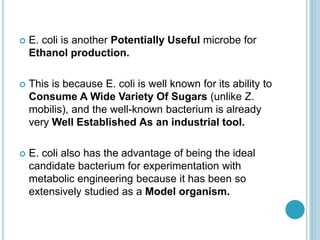  E. coli is another Potentially Useful microbe for
Ethanol production.
 This is because E. coli is well known for its ability to
Consume A Wide Variety Of Sugars (unlike Z.
mobilis), and the well-known bacterium is already
very Well Established As an industrial tool.
 E. coli also has the advantage of being the ideal
candidate bacterium for experimentation with
metabolic engineering because it has been so
extensively studied as a Model organism.
 