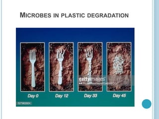 MICROBES IN PLASTIC DEGRADATION
 