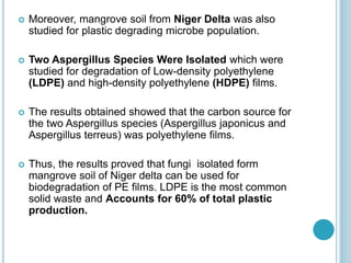  Moreover, mangrove soil from Niger Delta was also
studied for plastic degrading microbe population.
 Two Aspergillus Species Were Isolated which were
studied for degradation of Low-density polyethylene
(LDPE) and high-density polyethylene (HDPE) films.
 The results obtained showed that the carbon source for
the two Aspergillus species (Aspergillus japonicus and
Aspergillus terreus) was polyethylene films.
 Thus, the results proved that fungi isolated form
mangrove soil of Niger delta can be used for
biodegradation of PE films. LDPE is the most common
solid waste and Accounts for 60% of total plastic
production.
 