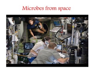 Microbes from space
 