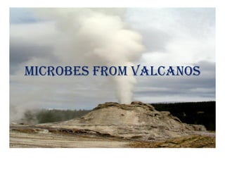 Microbes from valcanos
 