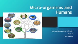 Micro-organisms and
Humans
Internal Assessment 4 Credits
Year 11
Ms Gibellini
 