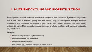 The Role of Microorganisms in Enhancing Sustainable Agriculture ...