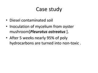 Case study
• Diesel contaminated soil
• Inoculation of mycelium from oyster
mushroom[Pleurotus ostreatus ].
• After 5 weeks nearly 95% of poly
hydrocarbons are turned into non-toxic .
 