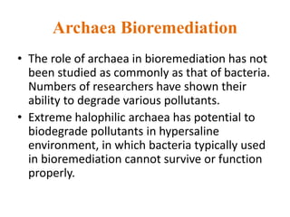 Archaea Bioremediation
• The role of archaea in bioremediation has not
been studied as commonly as that of bacteria.
Numbers of researchers have shown their
ability to degrade various pollutants.
• Extreme halophilic archaea has potential to
biodegrade pollutants in hypersaline
environment, in which bacteria typically used
in bioremediation cannot survive or function
properly.
 